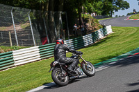 Vintage-motorcycle-club;eventdigitalimages;mallory-park;mallory-park-trackday-photographs;no-limits-trackdays;peter-wileman-photography;trackday-digital-images;trackday-photos;vmcc-festival-1000-bikes-photographs
